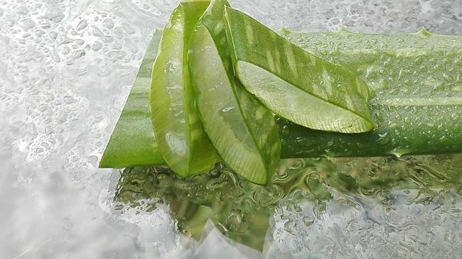 8 ok az aloe vera ital fogyasztására
