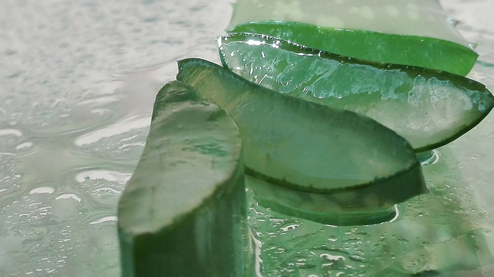 Aloe vera fogyasztásának 8 egészségügyi előnye