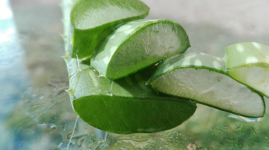 Aloe vera gél 7 előnye