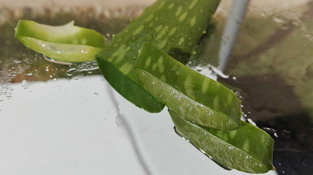 Aloe vera gél akne pattanás mitesszer ellen