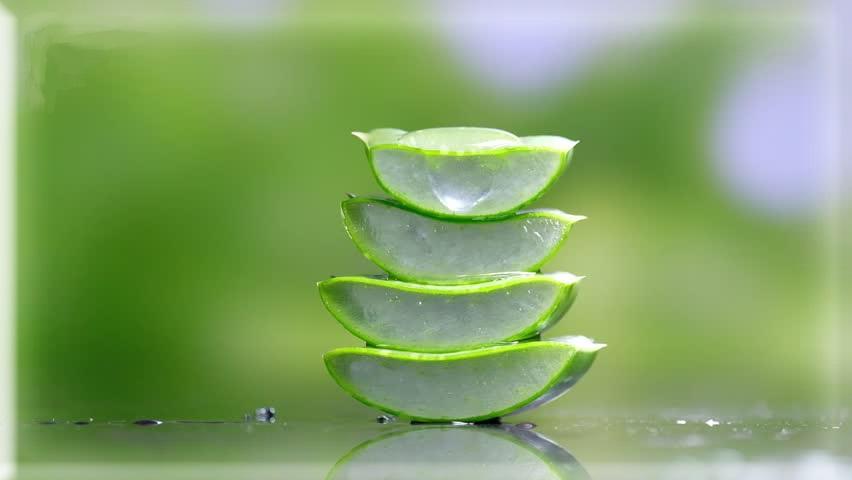 Aloe vera használata hajra