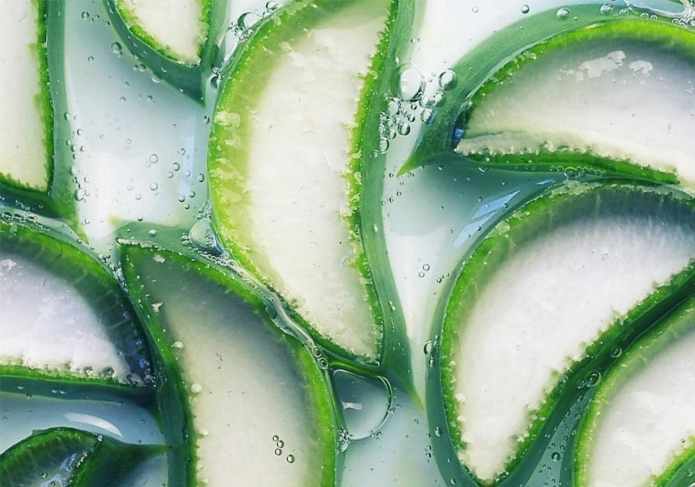 Aloe vera használata ráncokra