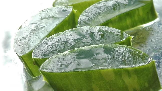 az aloe vera segít a diétában