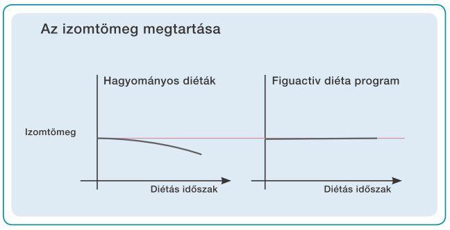 az izomtömeg megtartása