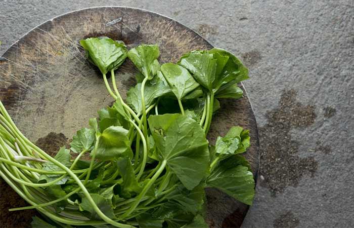 gotu kola ázsiai gázló lábszárfekély kezelésére