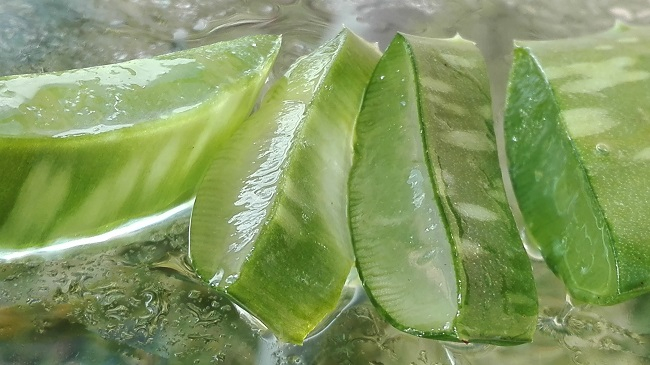 Emésztési zavarok esetén aloe vera - Aloe webshop