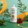 Aloe vera ital őszibarack LR