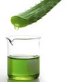 Aloe vera termékek hatásai