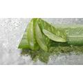 8 ok az aloe vera ital fogyasztására