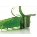 Aloe vera gél hatása
