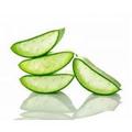 Aloe vera ital hatása