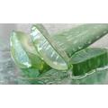 Allergia ellen aloe vera