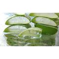 Aloe vera ízületi gyulladásra – arthritis