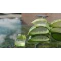 Aloe vera káros hatásai