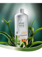 Aloe vera ital