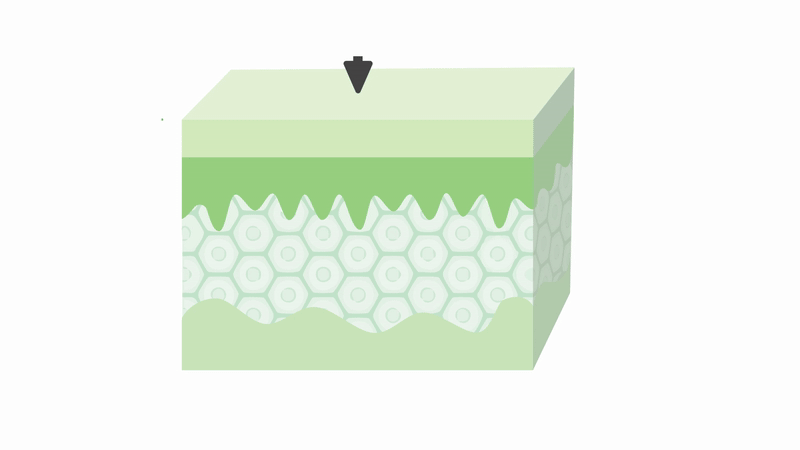 Aloe vera fermentáció animálása