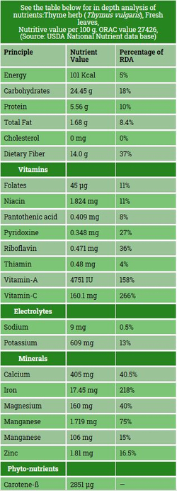 kakukkfű vitamin és ásvanyi anyag tartalma