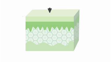 Aloe VIA FERMENTÁLT termékcsalád