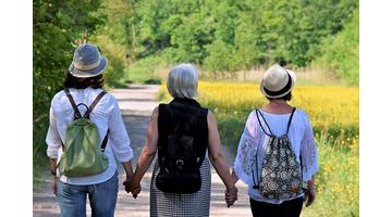 Menopauza