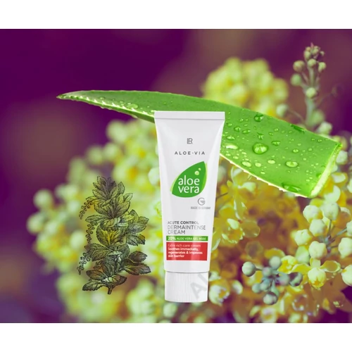 aloe vera dermaintense cream aloewebshop