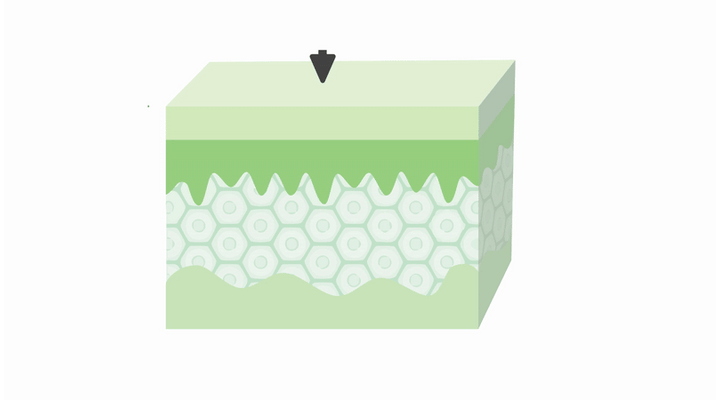 Aloe VIA FERMENTÁLT termékcsalád