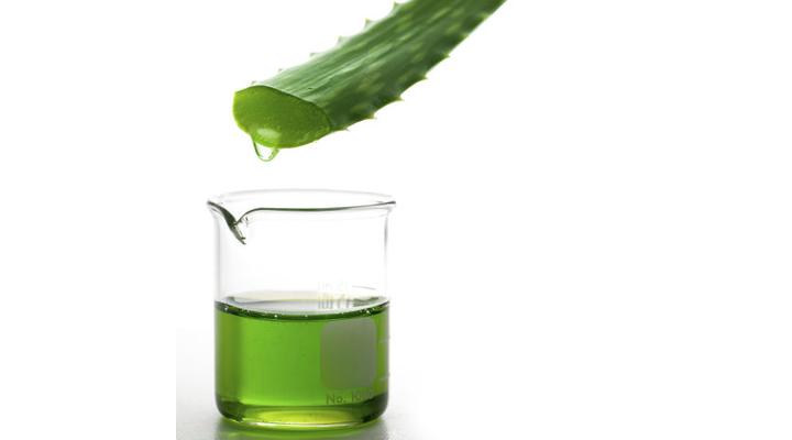Aloe vera termékek hatásai