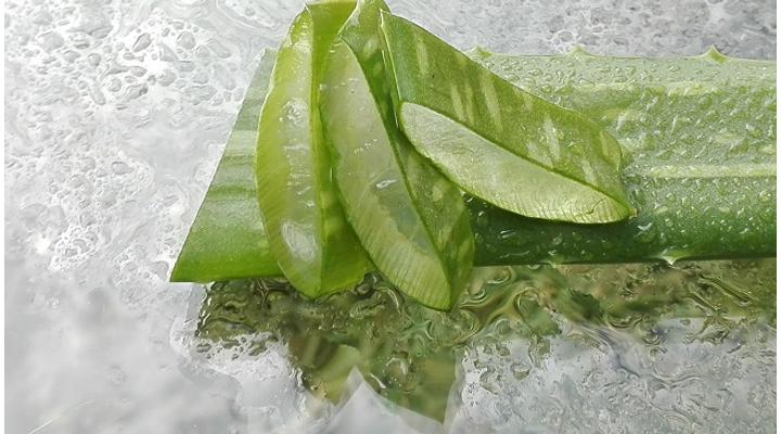 8 ok az aloe vera ital fogyasztására