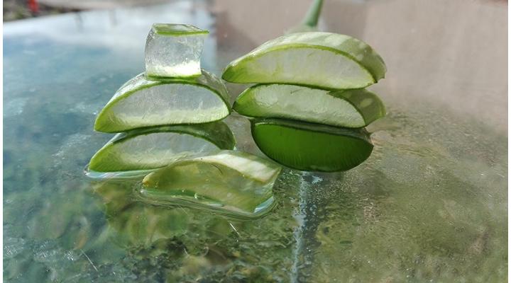 Aloe vera diéta 4 recepttel