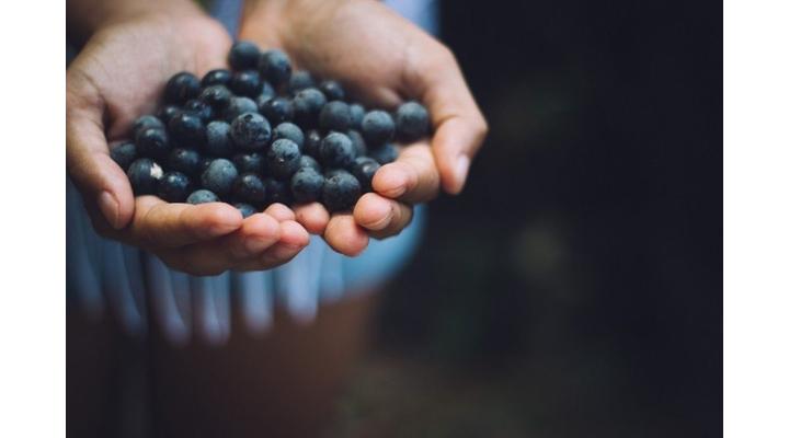 Acai bogyó mire jó