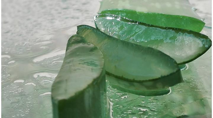 Aloe vera fogyasztásának 8 egészségügyi előnye