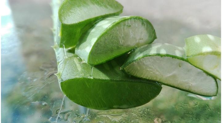 Aloe vera gél 7 előnye