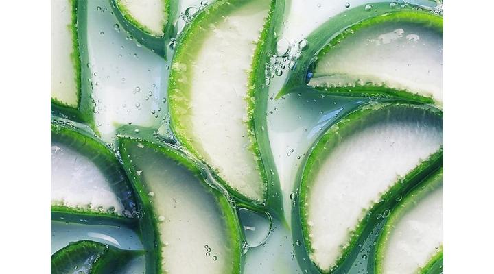Aloe vera használata ráncokra