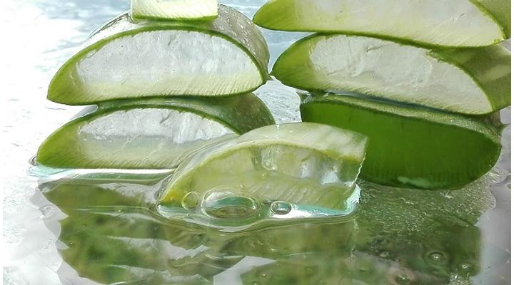 Aloe vera izületi gyulladásra – arthritis