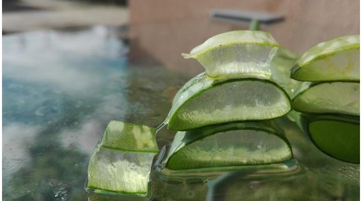 Aloe vera káros hatásai