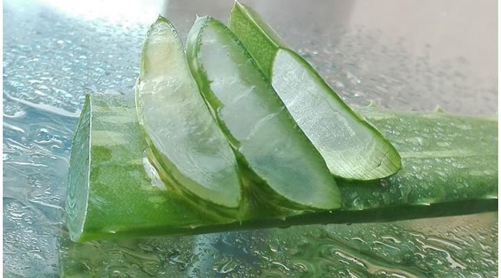 Aloe vera mire jó