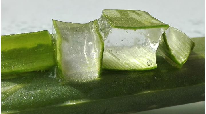 Az Aloe Vera gél előnyei a bőr számára