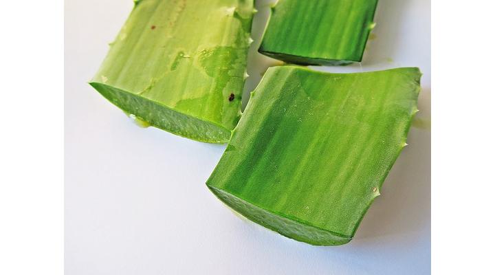 Égési sérülésre Aloe vera krém