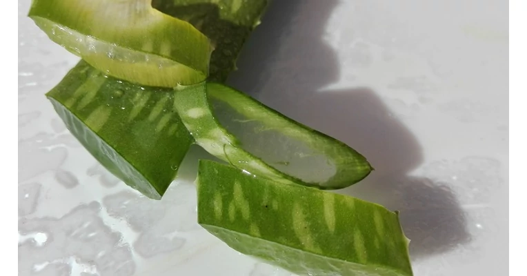 Aloe vera gl hasznlata - Aloe webshop